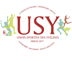 Logo usy